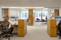 NEW MILLENNIA open offices in Flat Cut White Oak with custom stain finish. thumbnail